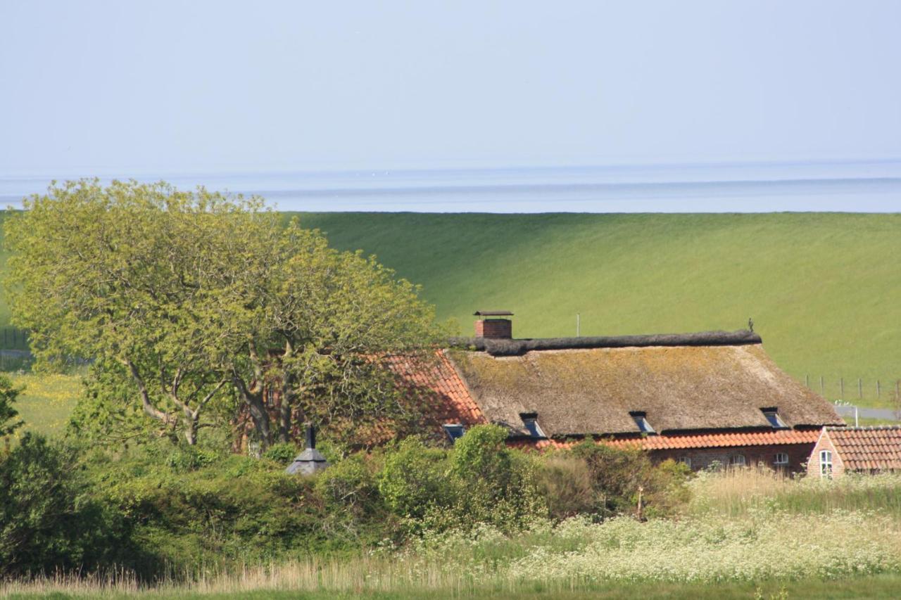 Gasthof Grosser Krug Norddeich  Esterno foto