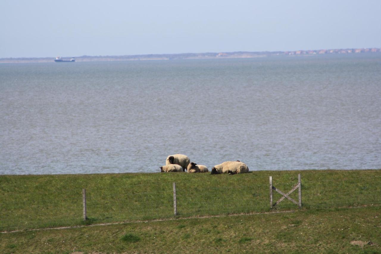 Gasthof Grosser Krug Norddeich  Esterno foto
